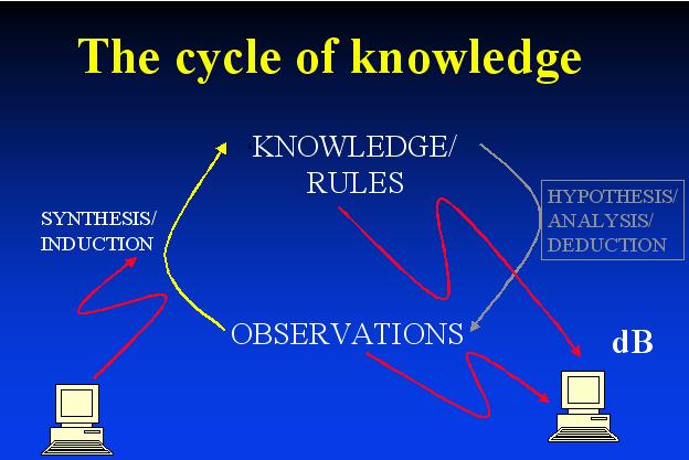 Cycle of knowledge