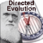 directed evolution