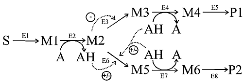 Fig 1 - Scheme of pathway analysed in the text